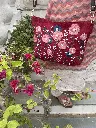 IMG_6583(1).webp